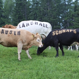 Lebende Speisekarte Neugarten Almhütte