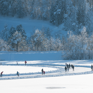 Eislaufen am Silbersee 1