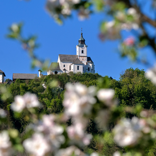 Die Kirche Sternberg in Wernberg bei Villach